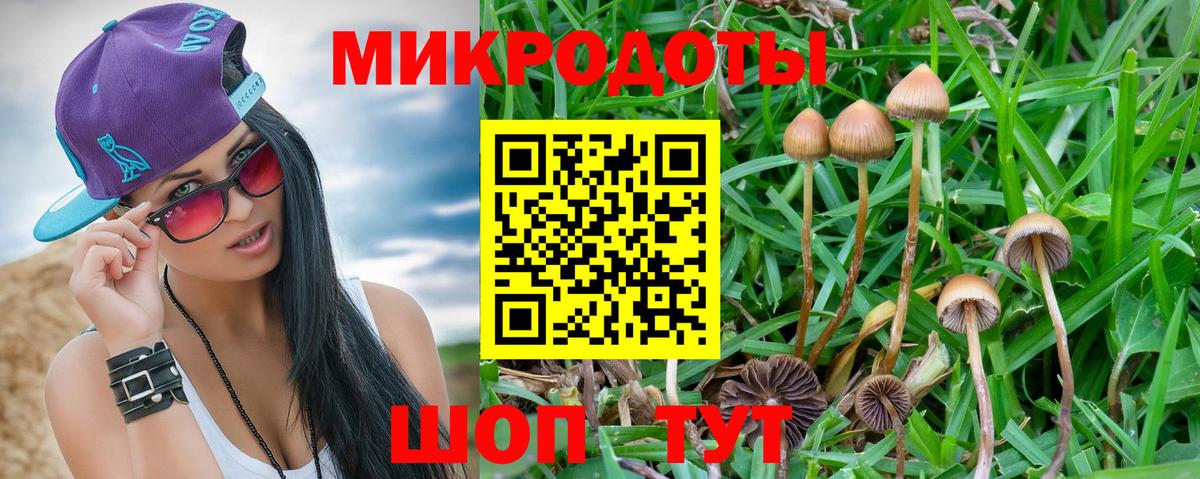 Галлюциногенные грибы Psilocybe  Вход с VPN  закладки  Новоалександровск 