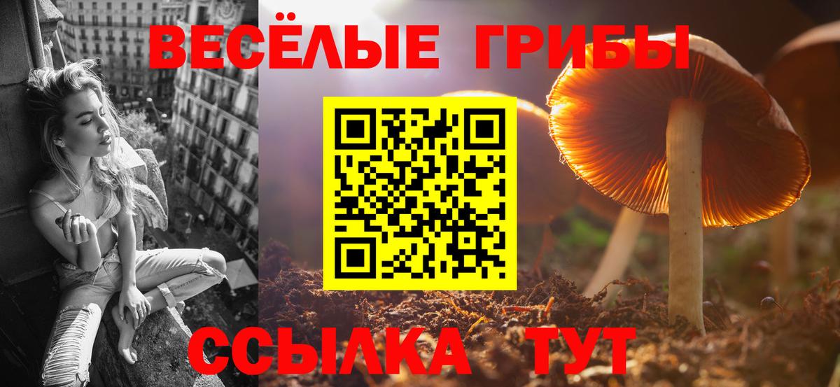 Галлюциногенные грибы MAGIC MUSHROOMS Новоалександровск