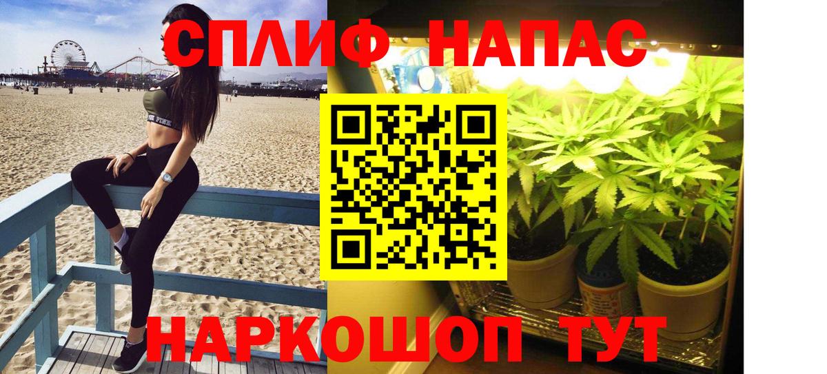 Бошки Шишки VHQ  Вход с VPN  Каннабис Bruce Banner  Новоалександровск  Бошки Шишки сатива  Бошки Шишки план 